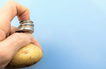 Early Potato Varieties Place the European Processing Sector Under Pressure