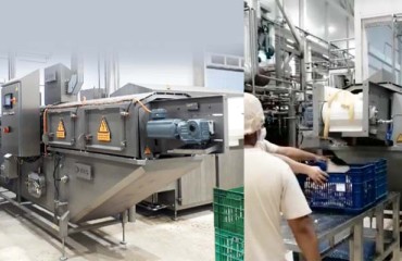 Enhancing Product Texture and Color with Elea’s Innovations
