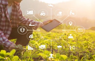 Maximizing the Potato Crop Yield Through Smart Farming
