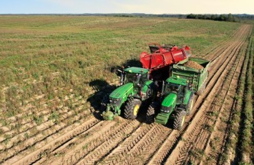 Canadian Potato Growers on Their “Last Big Push”