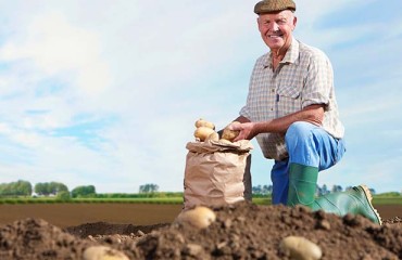 The European Spud Growers are Reminded of Honoring Their Contracts in Full