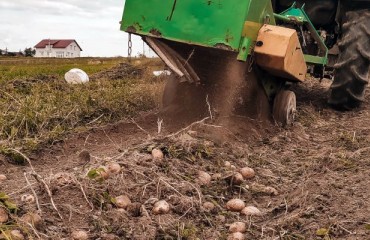 Ukraine Officials Say The Country Has “A Sufficient Amount” of Potatoes