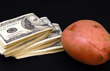 Polish Spud Prices Could Reach the Highest Level in Recent Years