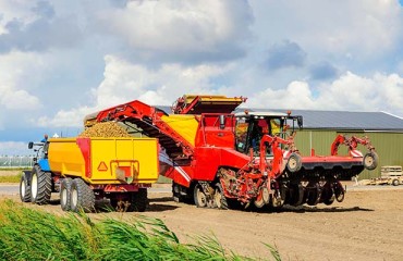 The European Spud Production Faces Reduction in Yields