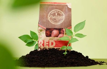 Vee’s Marketing Develops 100% Compostable and Recyclable Potato Bag