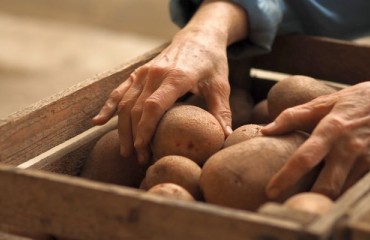 European Potato Growers Try to Avoid Storage Costs