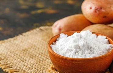 A Strong Growth Perspective for the Modified Starch Segment