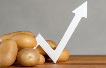 Successful U.S. Potato Exports in 2022