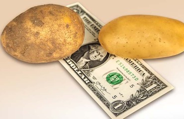 Potato Prices are Going Up Worldwide
