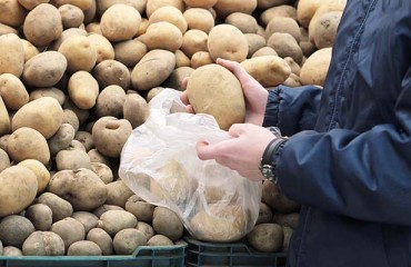 The NEPG Estimates for the Global Potato Production in 2022