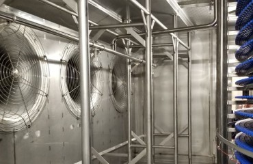 A Deeper Grasp of the Freezing Process' Basics