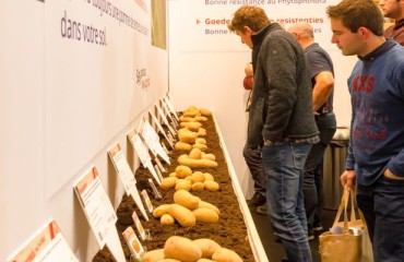 A Record-breaking Edition of Interpom