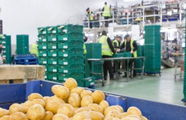 More Border Points Are Approved for Fresh Exports to Mexico