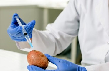 Researchers Found Out That Protease Inhibitors Reduce Bacterial Malignancy