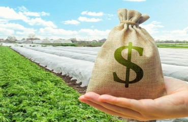 Lamb Weston Holdings Increases Quarterly Dividend