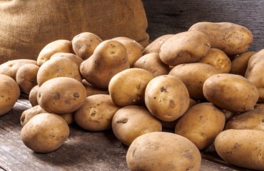 Fewer U.S. Spud Sales but at Higher Prices