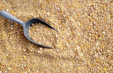Potato Fiber Market is Expected to Significantly Grow Until 2030