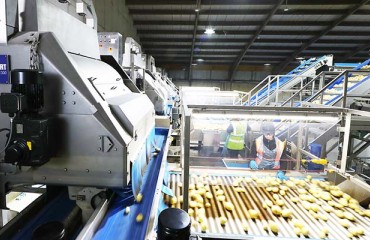 Key Technology Unveils an Improved Herbert Oculus Optical Sorter for Whole Potatoes