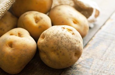 Fears for the Moldovan Wholesale Potato Prices