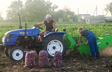 Ukrainian Potatoes Can be Exported to EU Countries
