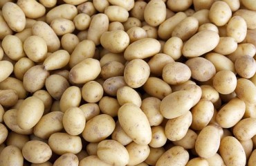 Bord Bia Mark QA Appearing on French Baby Potatoes is Considered Unacceptable by IFA
