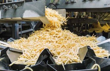 USD250m Lamb Weston Potato Processing Factory Investment in Mar del Plata