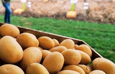 Registration for PotatoEurope 2023 Almost to an End