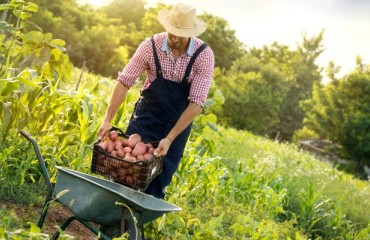 GBP35m from McCain for British Farming in Tackling Environmental Challenges