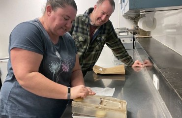 UI Extension’s National Chip Processing Trials