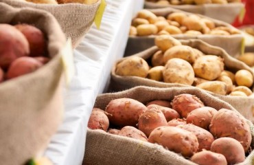 Potato Price Volatility in Uzbekistan