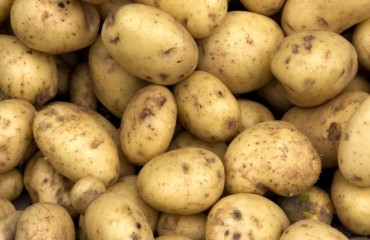 US Potato Retail Sales Declined in Terms of Volume in 2022
