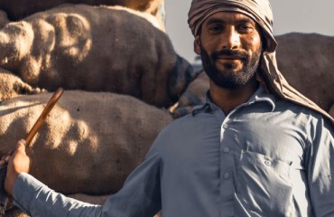 Pakistan Can Become One of China’s Favorite Potato Exporters