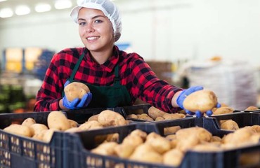 The Processed Potatoes Market is Estimated to Increase by USD 41.71bn by 2027
