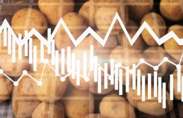 How Much of the World Potato Market Does the U.S. Still Control