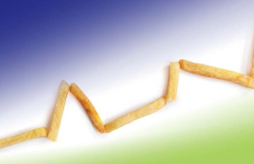 Sales in Frozen and Chilled Potato Products ‘Grew Strongly’ at Royal Cosun’s Aviko Subsidiary