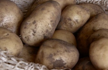 A Sustainable Potato Supply Network Across Kenya to Meet KFC's Demands