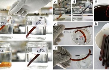 Sustainable Bioplastic Straws Made from Potato Starch