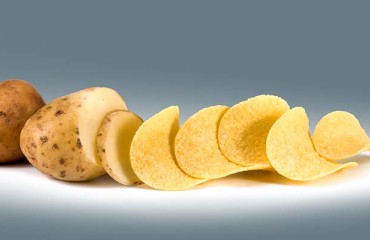 U.S. Potato Chips Producers are Waiting for Aberdeen’s A13125-3C Spud Variety