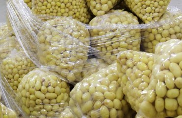 The U.S. Exports Increased for All Potato Varieties