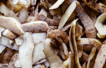 Measuring, Monitoring, and Reducing Food Loss and Food Waste