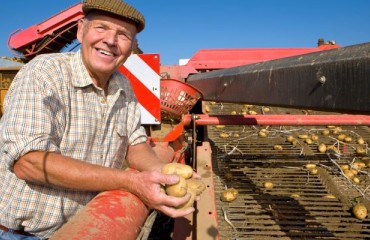 IFA to Hold National Meeting of Potato Growers