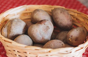 The Total Economic Contribution of the U.S. Potato Sector is Valued at USD100.9bn