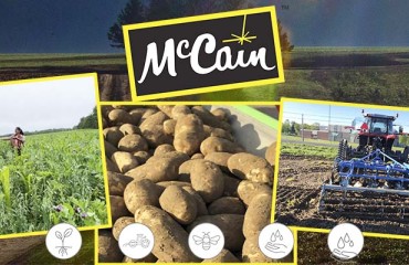 Transforming the Potato Farming in South Africa
