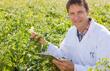 CRISPR/Cas Gene-editing Advancements in Tackling the Potato Late Blight