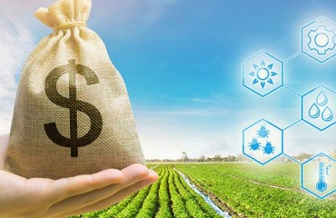 AHDB Reduced the Operational Costs by GBP7.8m