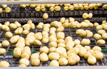 A New High for the U.S. Potato Exports in 2022