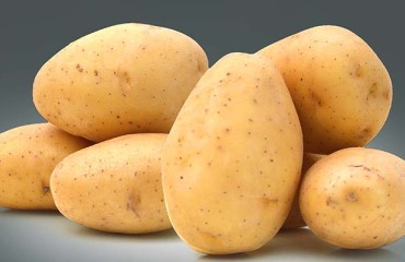 Variety Rulemaking for Idaho Non-russet Varieties