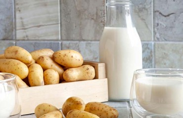 The Global Potato Protein Market to Reach Almost a Quarter of a Billion USD in 2032