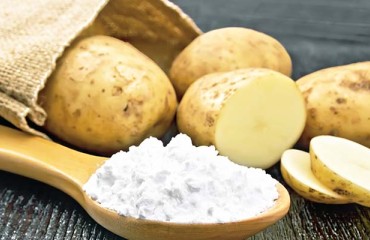 Royal Avebe’s Focus on Potato Starch and Potato Protein Products