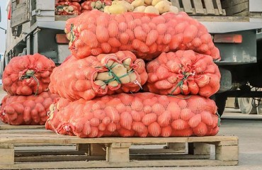 2023 Early Potato Crop is Now on Uzbekistan’s Capital Markets